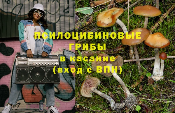 Альфа ПВП Горно-Алтайск
