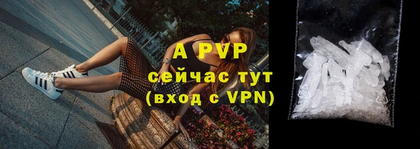 Альфа ПВП Горно-Алтайск