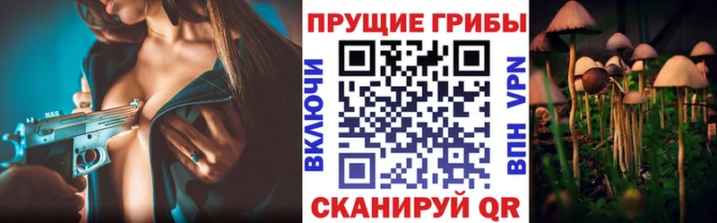 Купить закладки  Краснотурьинск  Псилоцибиновые грибы Magic Shrooms 